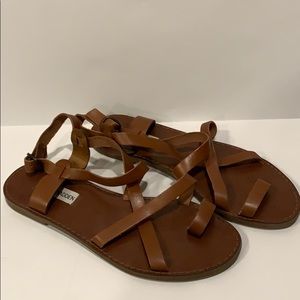 Steve Madden Brown Sandals